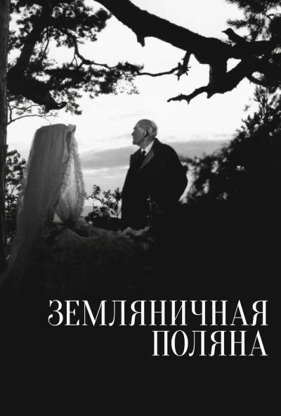 Земляничная поляна (1957) онлайн бесплатно